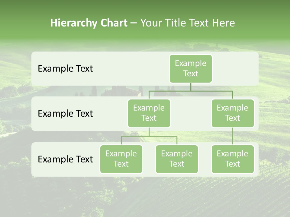 San Quirico Dorcia Farm Country Road PowerPoint Template