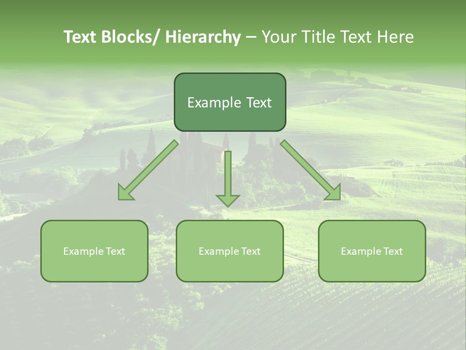 San Quirico Dorcia Farm Country Road PowerPoint Template