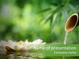 Japan Lake Eco PowerPoint Template
