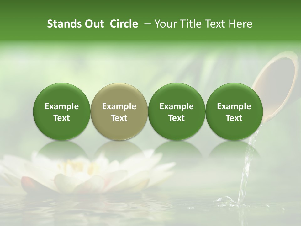 Japan Lake Eco PowerPoint Template