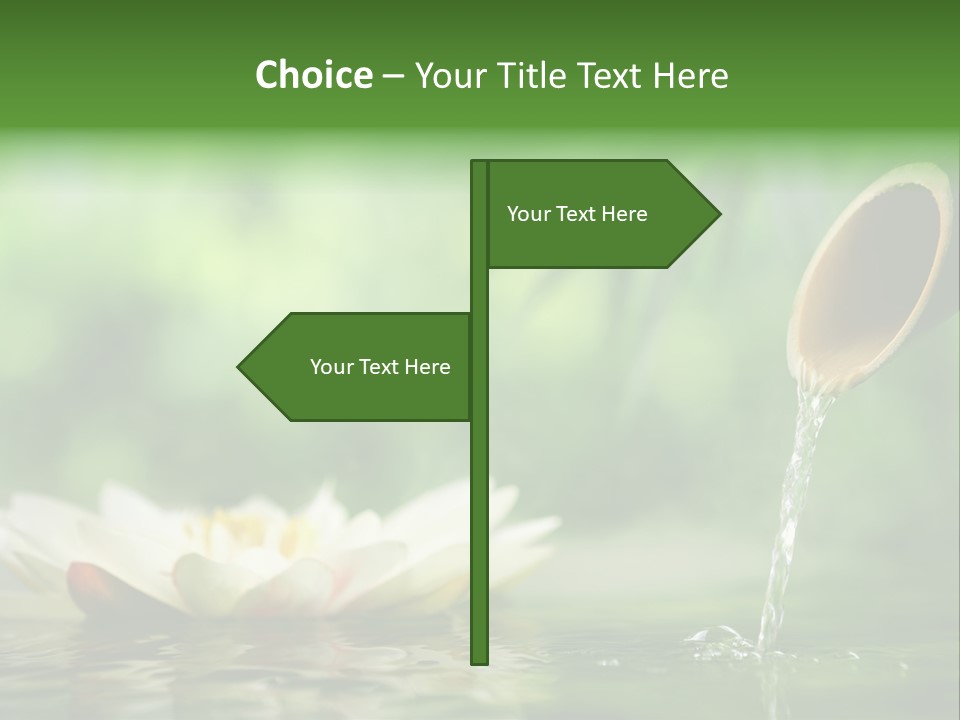 Japan Lake Eco PowerPoint Template