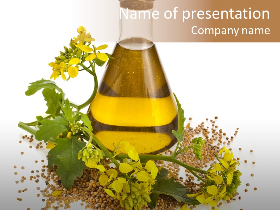 Honey Canola Isolated PowerPoint Template