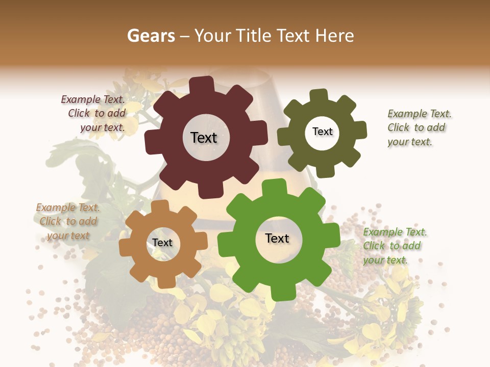 Honey Canola Isolated PowerPoint Template