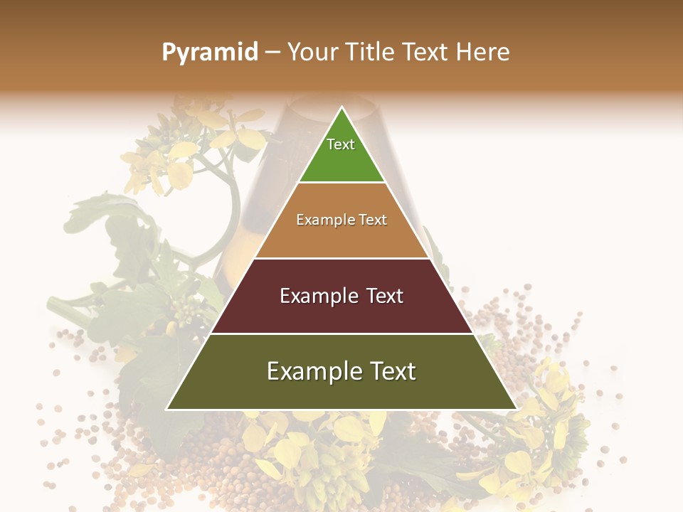Honey Canola Isolated PowerPoint Template