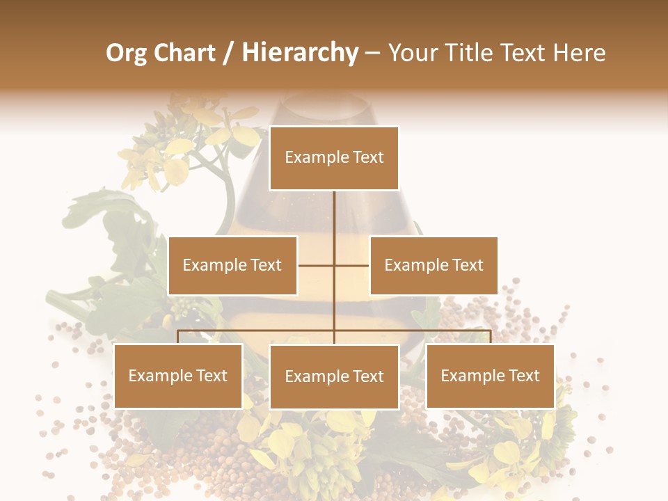 Honey Canola Isolated PowerPoint Template
