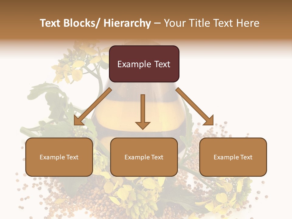 Honey Canola Isolated PowerPoint Template