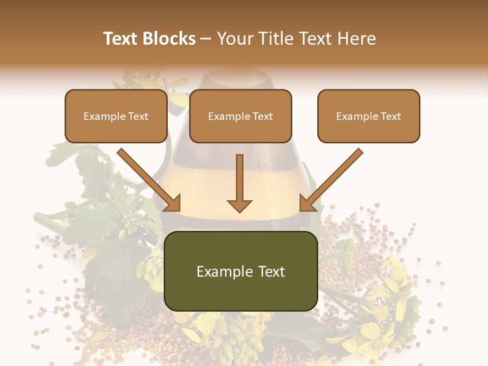 Honey Canola Isolated PowerPoint Template