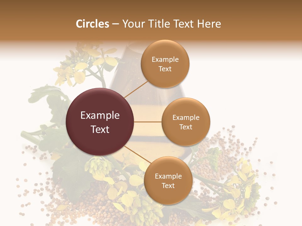 Honey Canola Isolated PowerPoint Template