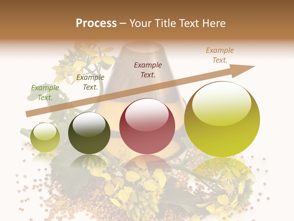 Honey Canola Isolated PowerPoint Template