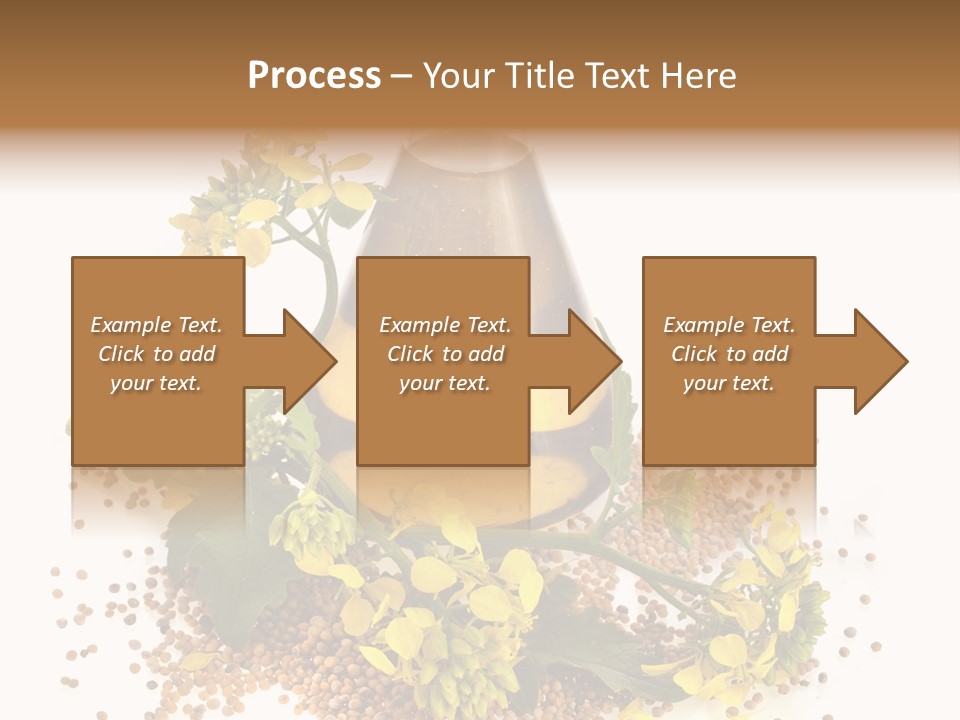 Honey Canola Isolated PowerPoint Template