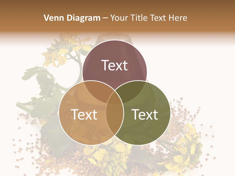 Honey Canola Isolated PowerPoint Template