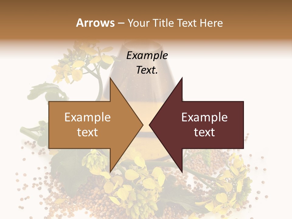 Honey Canola Isolated PowerPoint Template