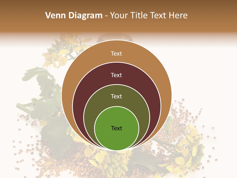 Honey Canola Isolated PowerPoint Template