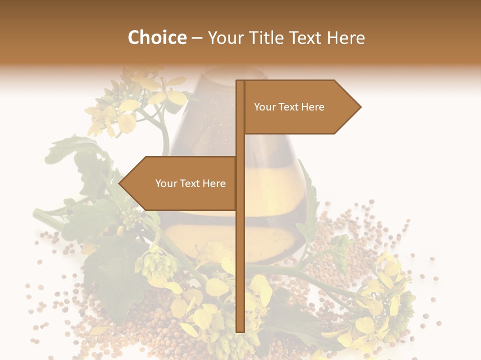 Honey Canola Isolated PowerPoint Template