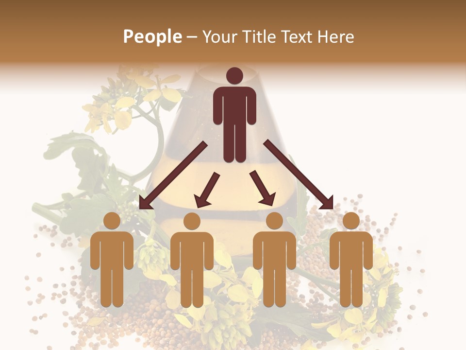 Honey Canola Isolated PowerPoint Template