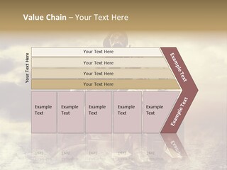 Disaster Poisonous Gases Danger PowerPoint Template