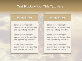 Disaster Poisonous Gases Danger PowerPoint Template