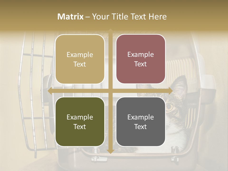 Transporter Security Box PowerPoint Template