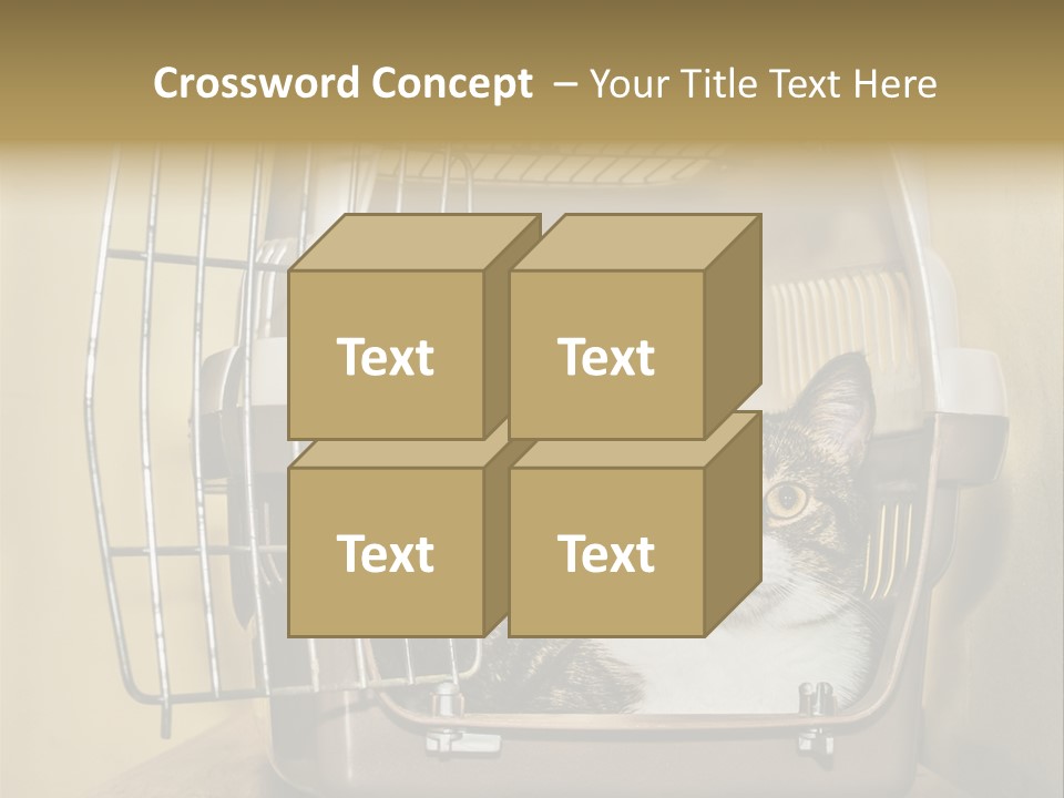 Transporter Security Box PowerPoint Template