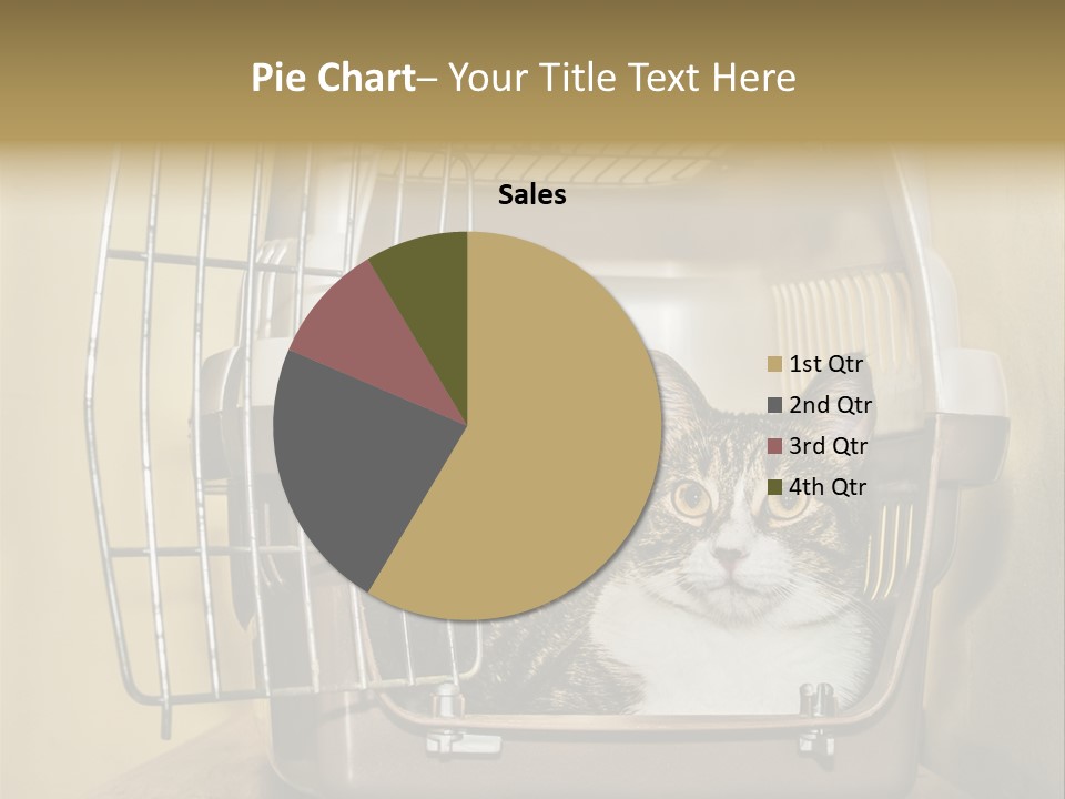 Transporter Security Box PowerPoint Template