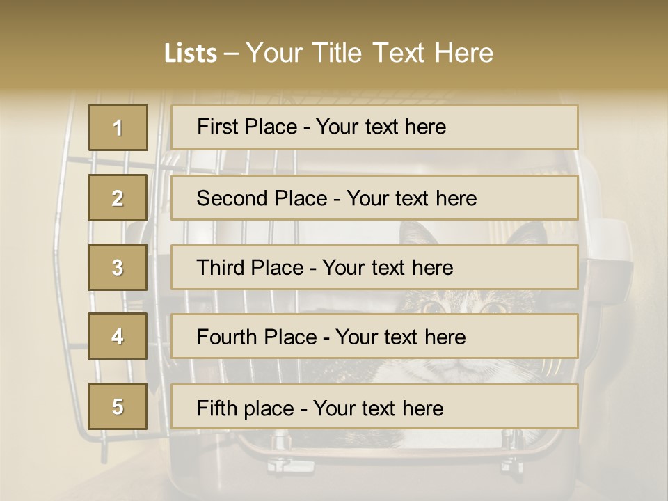 Transporter Security Box PowerPoint Template