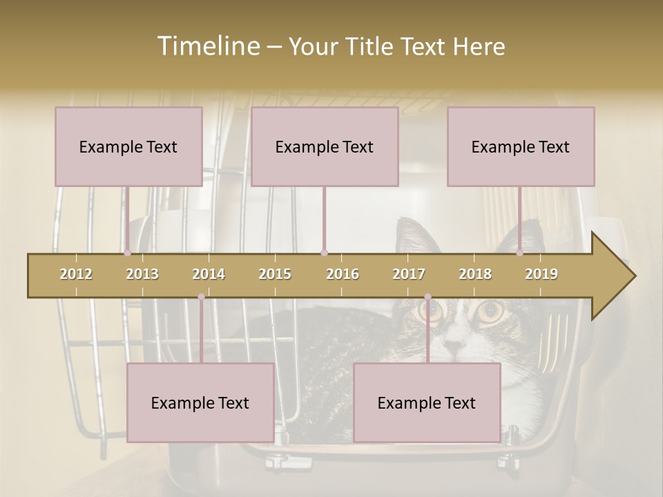 Transporter Security Box PowerPoint Template