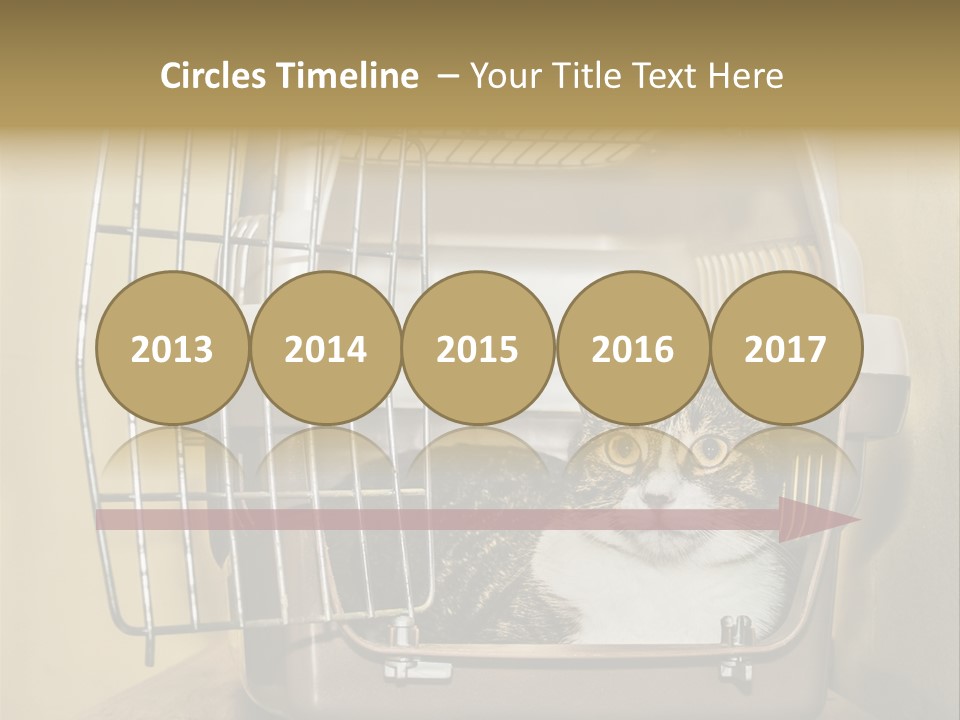 Transporter Security Box PowerPoint Template