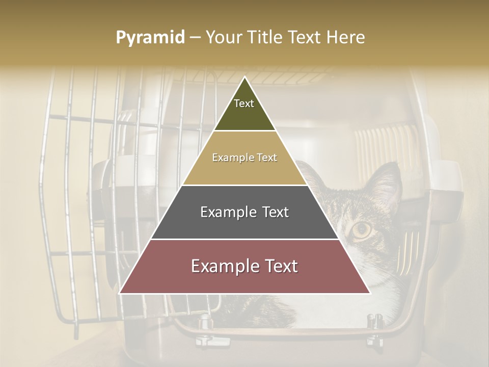 Transporter Security Box PowerPoint Template