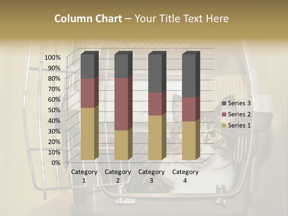 Transporter Security Box PowerPoint Template