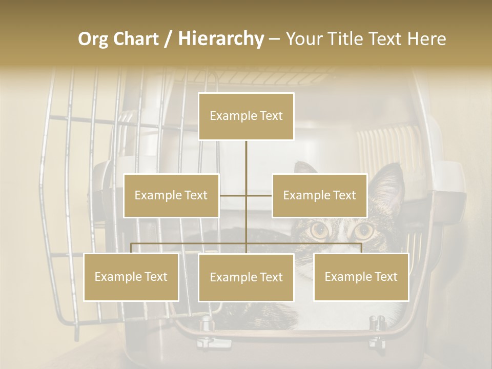 Transporter Security Box PowerPoint Template