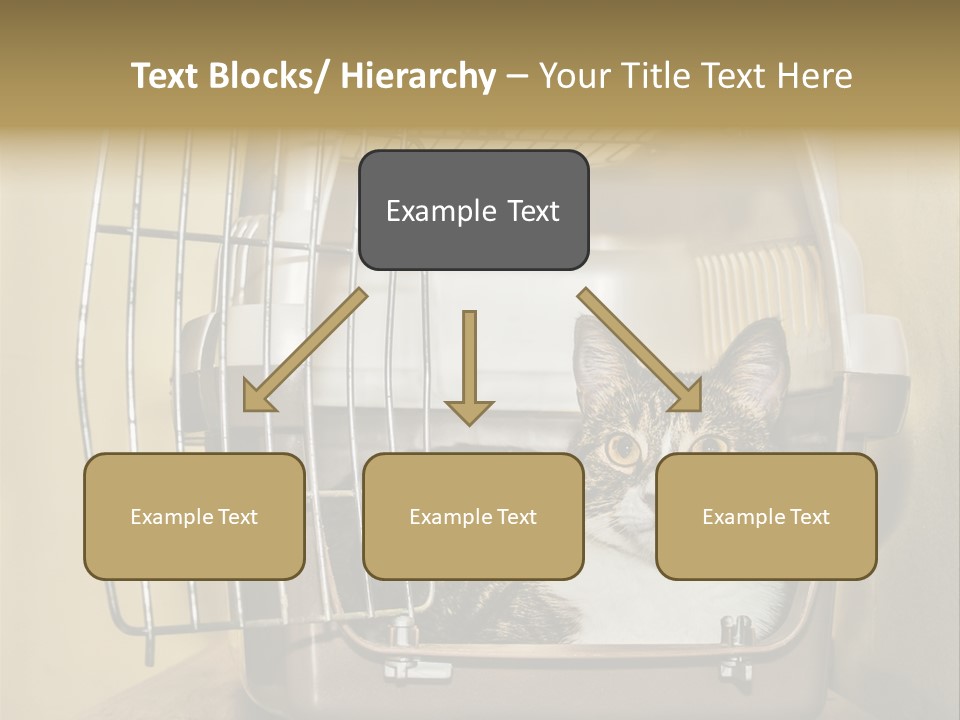 Transporter Security Box PowerPoint Template