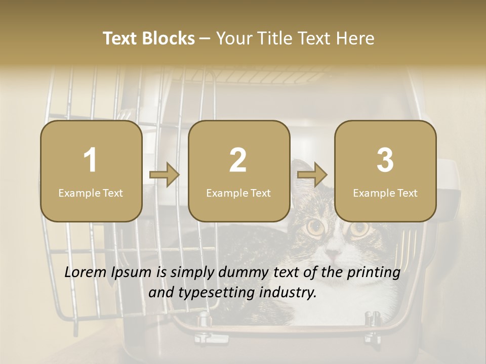 Transporter Security Box PowerPoint Template