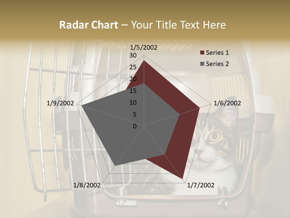Transporter Security Box PowerPoint Template