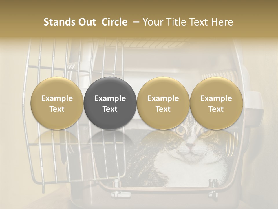 Transporter Security Box PowerPoint Template