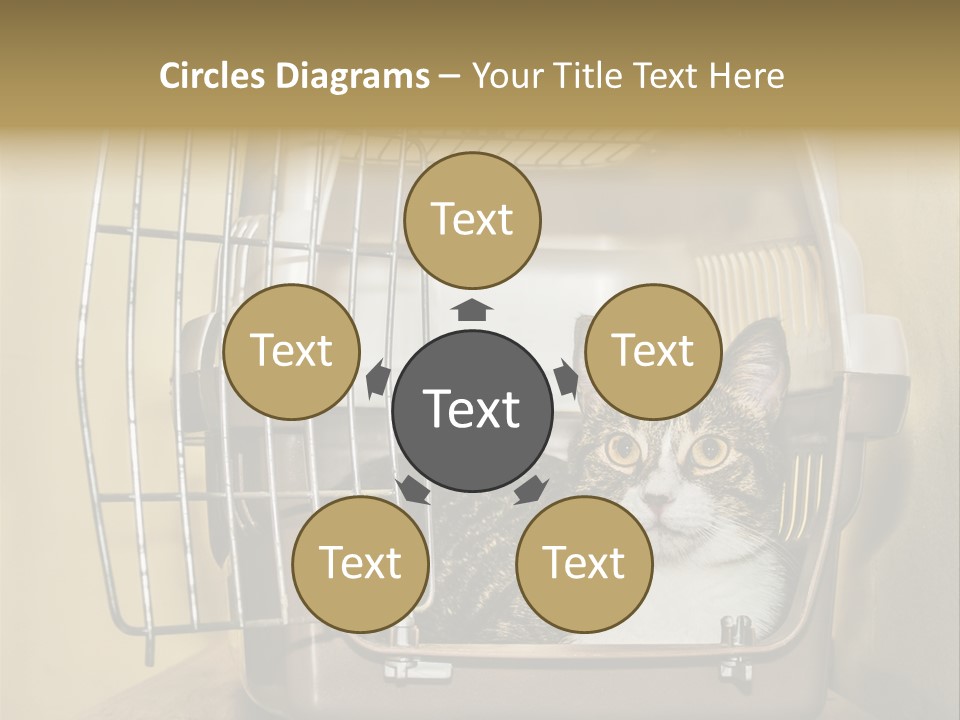 Transporter Security Box PowerPoint Template