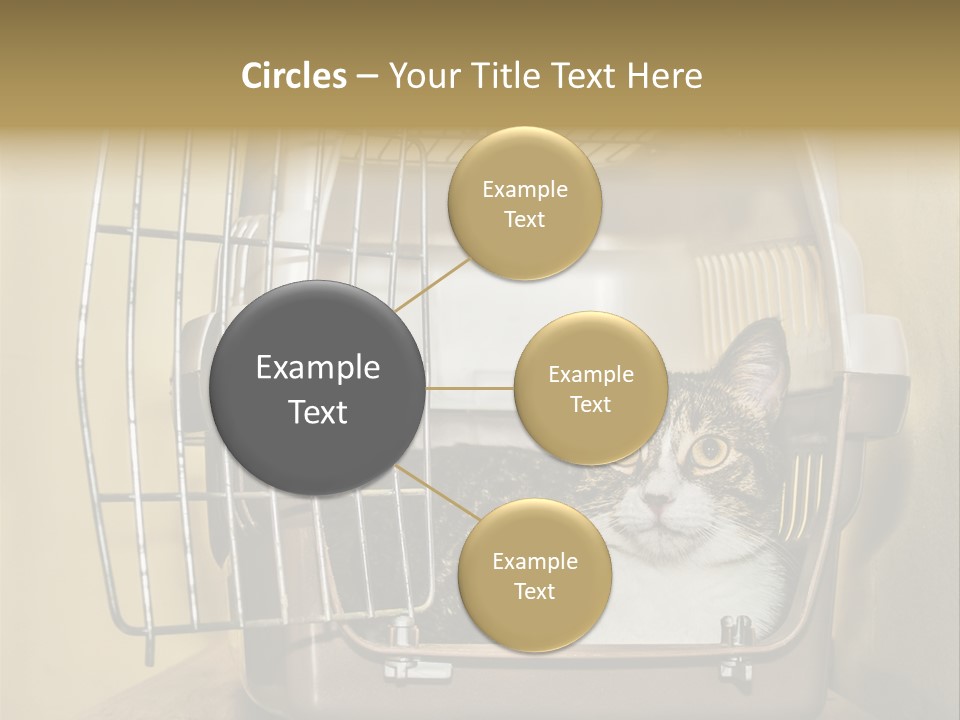 Transporter Security Box PowerPoint Template