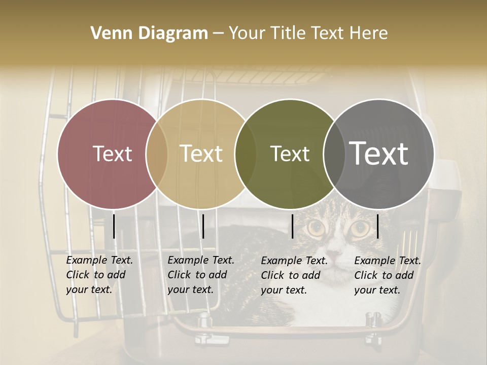 Transporter Security Box PowerPoint Template