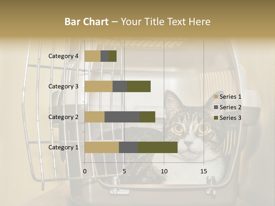Transporter Security Box PowerPoint Template