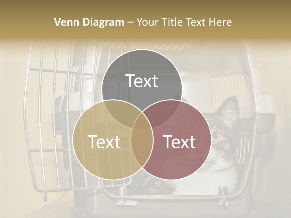 Transporter Security Box PowerPoint Template