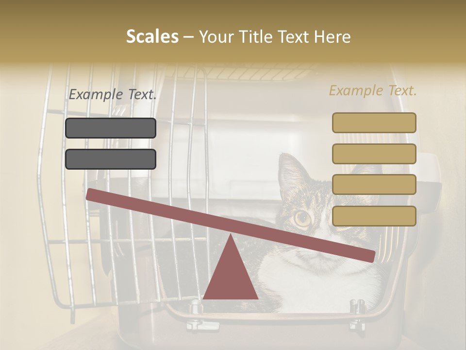 Transporter Security Box PowerPoint Template