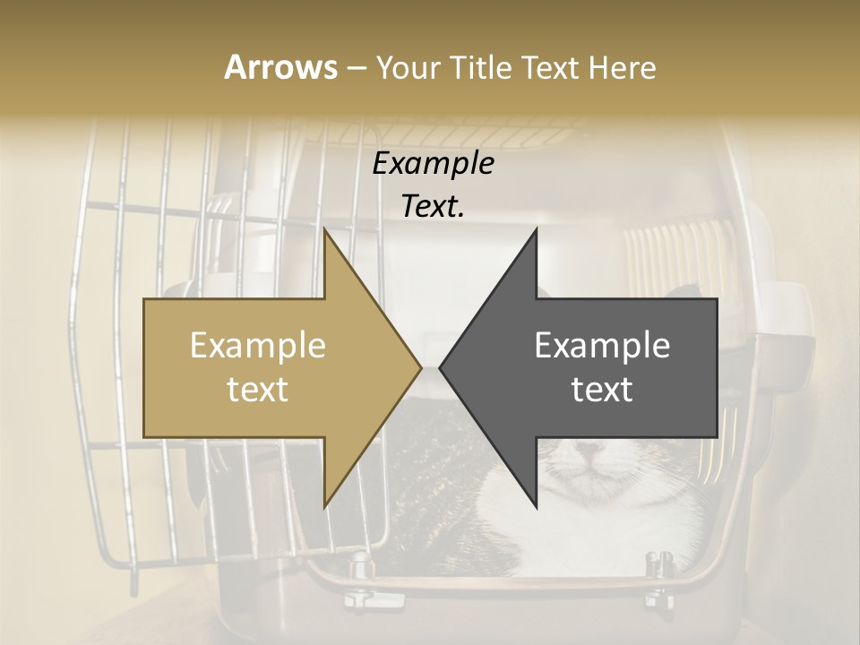Transporter Security Box PowerPoint Template