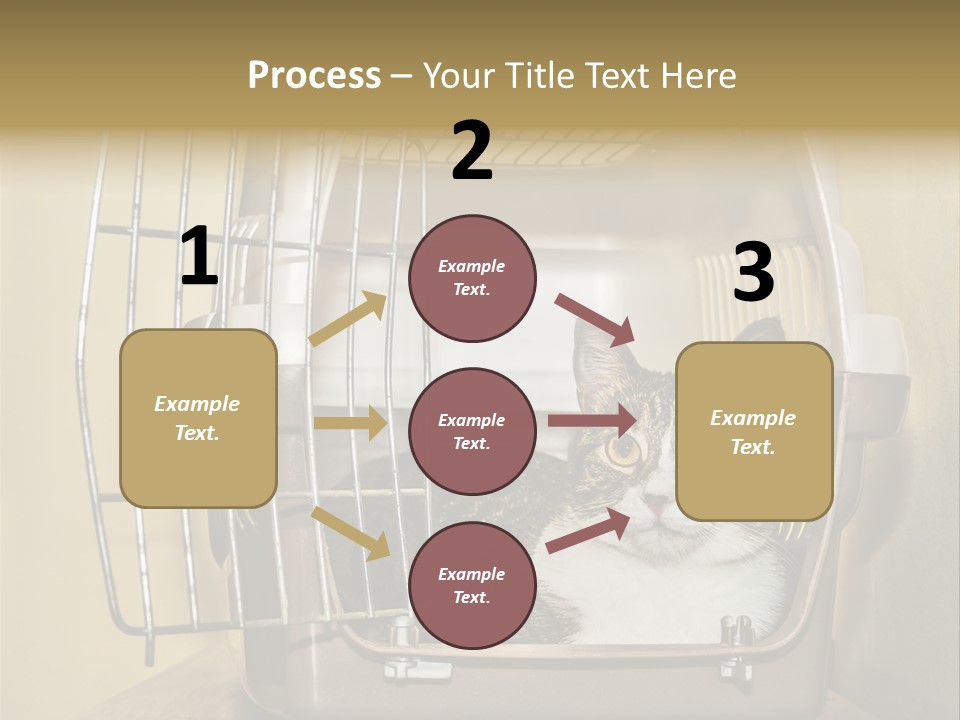 Transporter Security Box PowerPoint Template