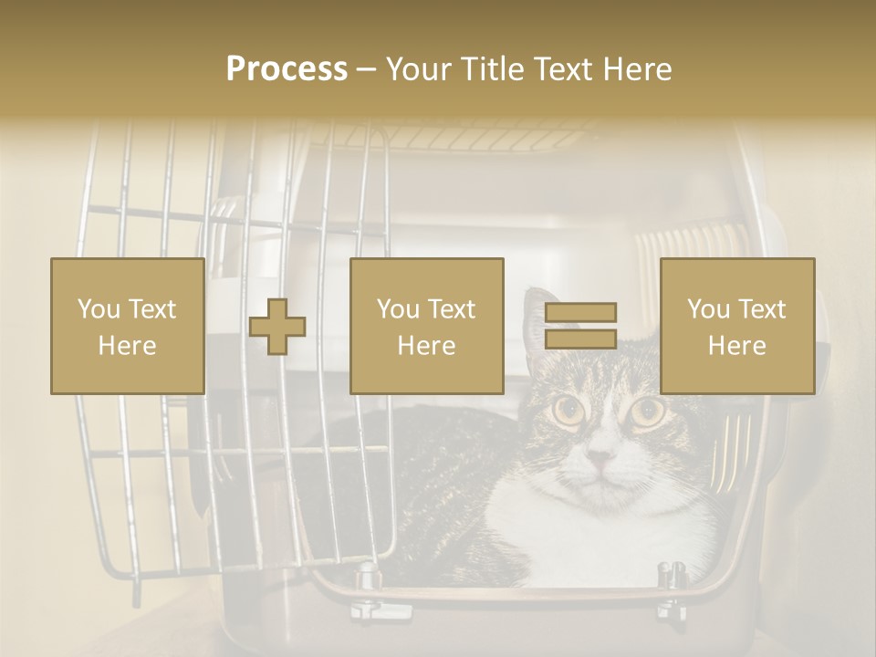 Transporter Security Box PowerPoint Template