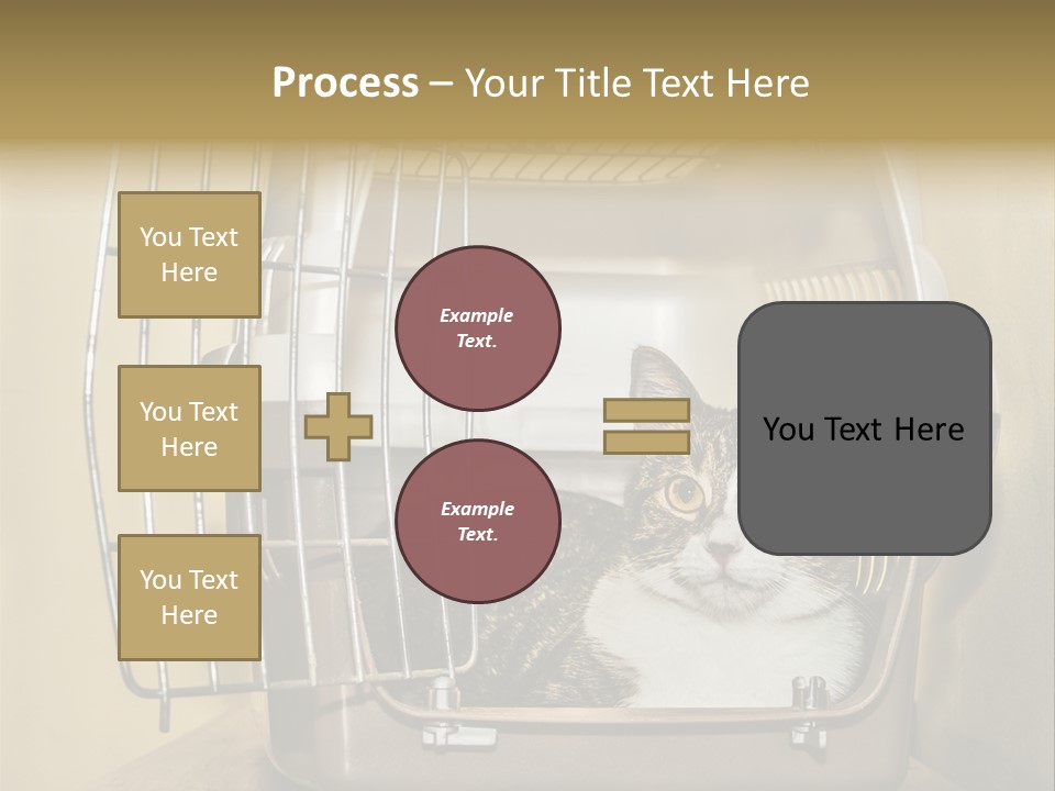 Transporter Security Box PowerPoint Template