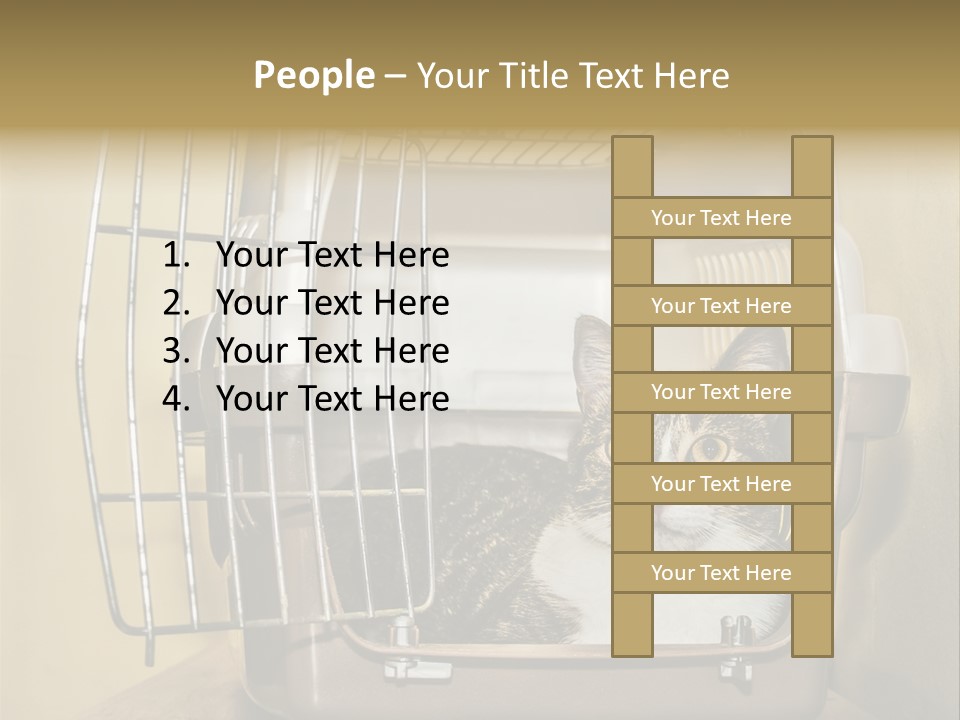 Transporter Security Box PowerPoint Template