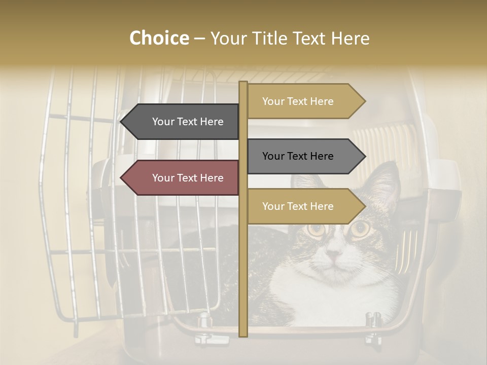Transporter Security Box PowerPoint Template