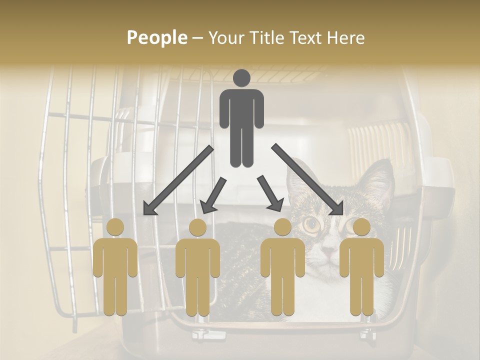 Transporter Security Box PowerPoint Template