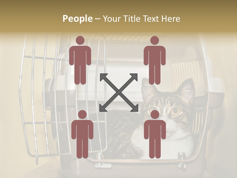 Transporter Security Box PowerPoint Template