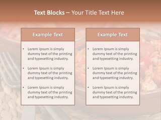 Style Meal Rustic PowerPoint Template