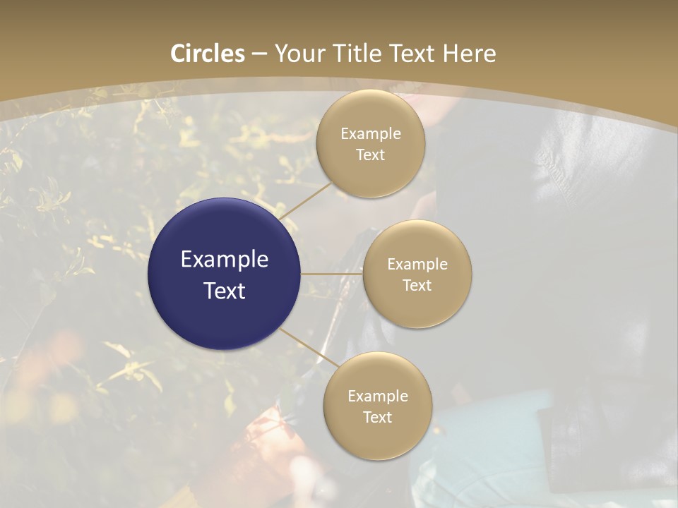 A Woman Sitting On The Ground With A Black Purse PowerPoint Template